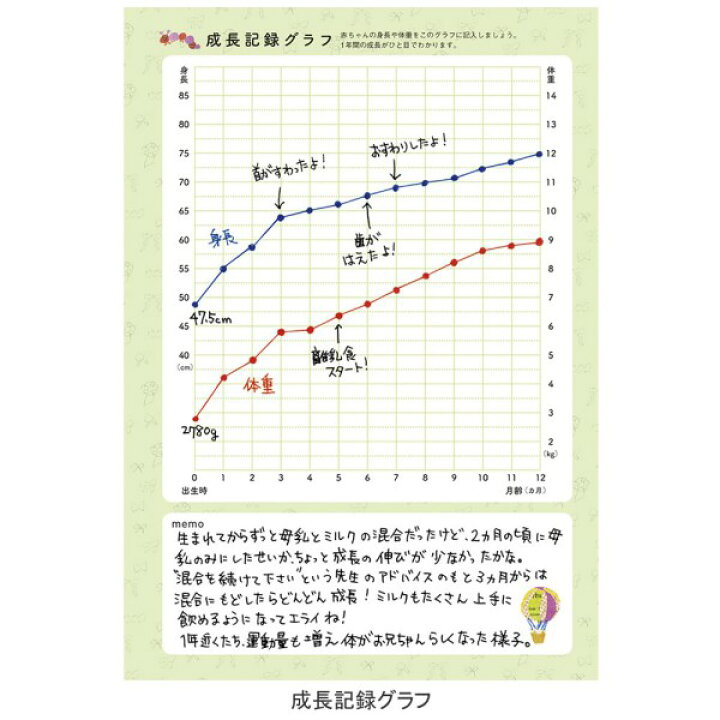 楽天市場 育児日記 育児日誌 育児手帳 育児ダイアリー マタニティ ダイアリー 成長記録 子供 ギフト 日付フリー A5正寸 ベビーダイアリー ポニー メール便なら送料無料 Online Mark S 手帳 雑貨