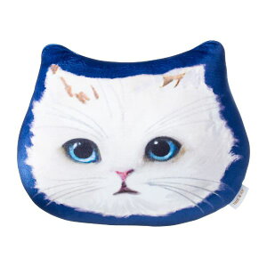 |[AhW[ NbV WvV[ElCr[ L ˂ w tFCX fXN[N e[N w  CeA 킢  ӂӂ  Mtg 蕨 v