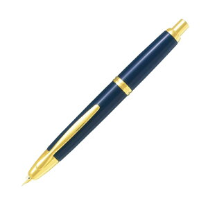 LbvXNM F ׎ NM mbN pCbg PILOT Mtg {  Vv Mtg v[g j _[Nu[ _[Nbh