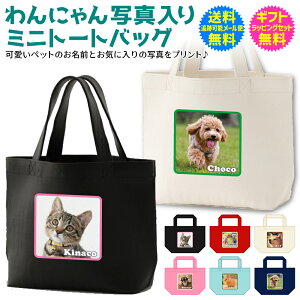 y ʐ^  ~j g[g obO z ɂ ʐ^ g[g U ObY pi Lpi ybg ObY pi    L  ˂  nX^[ O O 