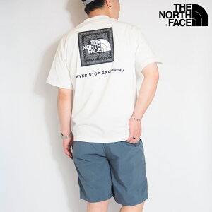 THE NORTH FACE �m�[�X�t�F�C�X �m�[�X T�V���c ���� ����T �X�N�G�A���S �o���_�i ( NT32446 ) ���� �z�� ��T ����T�V���c �����|�C���g �A�E�g�h�A �����Y ���f�B�[�X �J�W���A�� �A���J�W �u�����h
