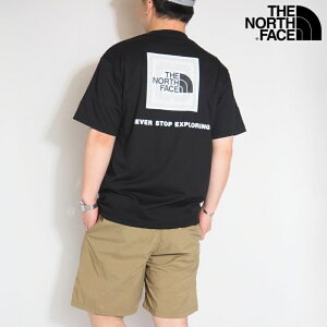 THE NORTH FACE �m�[�X�t�F�C�X �m�[�X T�V���c ���� ����T �X�N�G�A���S �o���_�i ( NT32446 ) ���� �z�� ��T ����T�V���c �����|�C���g �A�E�g�h�A �����Y ���f�B�[�X �J�W���A�� �A���J�W �u�����h