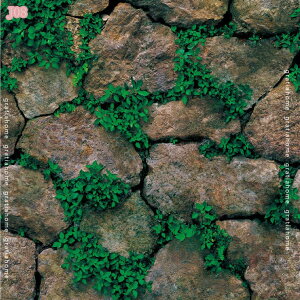 300~OFFN[| ǎV[ ͂ ǎ K O[  ̂t  ȒP\t h h diy OK ͂Ĕ 3DubNO[ K  JbeBOV[g ʏ r