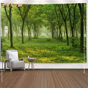 300~OFFN[| CeA ^yXg[  _C  R R  k i 唻 傫 ܂G   t  iF IC݉ wiz t@ubN|X^[ CX^