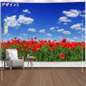 300~OFFN[| CeA ^yXg[  _C  R R  k i 唻 傫 ܂G   t  iF IC݉ wiz t@ubN|X^[ CX^
