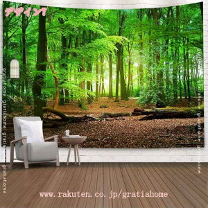 300~OFFN[| ^yXg[ CeA Ǐ Ǌ| RiF C  _ l X IV z|X^[ @\z[i _ Bep rfIc   Mtg Vj