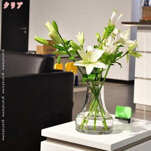 500~OFFN[| ԕr t[x[X k KX  VbN _ g₷ 傫 ԕr lC u Ԋ  蕨 ؂₩ A ԕr Ԃт kG 蕨 V rO Q