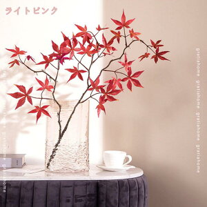 t[x[X ԕr k  Ԋ ֑}  CeAG _ Vv ؍ ԕr KX 傫 ی^ ͔|   hCt[ Ԃт u rO _Cj