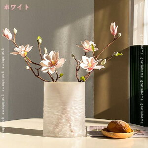 300~OFFN[| t[x[X ԕr k  Ԋ ֑}  CeAG _ Vv ؍ ԕr KX 傫 ی^ ͔|   hCt[ Ԃт u 