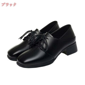 500~OFFN[| fB[X[XAbv V[Y  IbNXtH[h 4cm ~hq[ ʋΒʊw y ₷ C ɂȂ _炩 Xgbv L  q[ Vv 