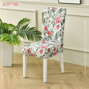 1000~OFFN[| `FAJo[ ֎qJo[ 4Zbg Lkf Xgb` ho _CjOtJo[ ֎q ی CXJo[  w _炩  k 􂦂 O\ l