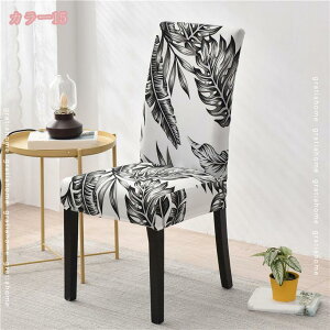 `FAJo[ ֎qJo[ 4Zbg Lkf Xgb` ho _CjOtJo[ ֎q ی CXJo[  w _炩  k 􂦂 O\ lGp _CjO