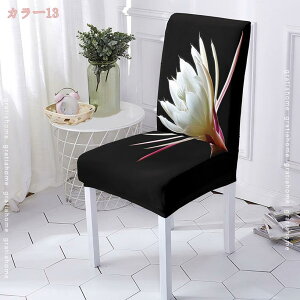 1000~OFFN[| `FAJo[ ֎qJo[ 4Zbg Lkf Xgb` ho _CjOtJo[ ֎q ی CXJo[  w _炩  k 􂦂 O\ l