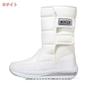 1000~OFFN[| Xm[u[c fB[X y N hC h Wbp[ V[gEB^[u[c g  ~p JWA ȌC C ʋ ʊw t@Xi[t ӂӂ N 