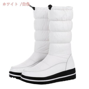 1000~OFFN[| Xm[u[c fB[X Y C h h Ȃ Xm[V[Y 傫TCY ubN y ~ AEghA C ȌC ~p h ےg EB^[u[c 