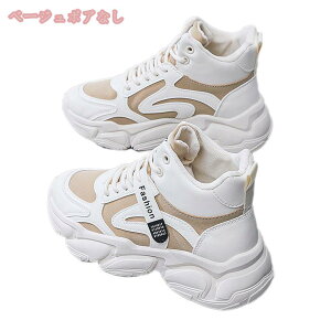 500~OFFN[| Xm[u[c fB[X u[c V[gu[c  Xj[J[ [XAbv ȌC C h h {A h ۉ H~ u[c V[g u[c TCY ҂ݏグ 