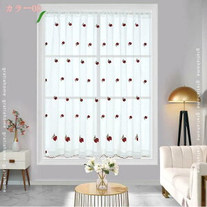 300~OFFN[| ̂ ډB p[eBV O g ̂J[e ̂ Ռ   Vv  Q q  ʏ Ki rO[ gratiahome