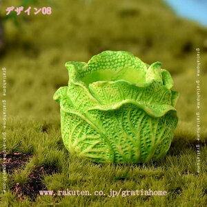 300~OFFN[| u 킢  ԓu lC ETM̒u  IuWF  ETM jWHׂETM e  Mtg v[g CeA rO fBX