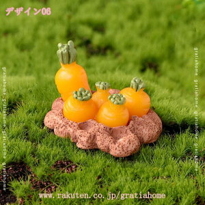 300~OFFN[| u 킢  ԓu lC ETM̒u  IuWF  ETM jWHׂETM e  Mtg v[g CeA rO fBX