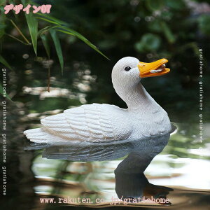 ^̒u JG nX̗t̏ɉJG Y̏3C̃J j̓̏ɂJ ނJG JC I[ig K[f IuWF  G K[fjO CeA 