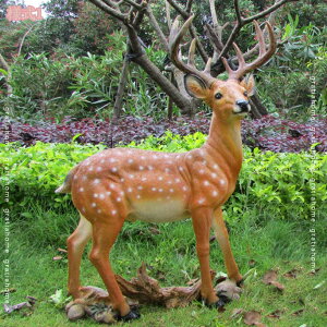 1000~OFFN[| u K[fIuWF  ̑ K[fI[ig    K[fjOG Aj} ̒u Ő  O  CeA AEghA   