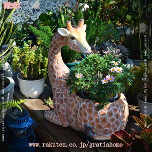 1000~OFFN[| K[fjO  u CeA K[fI[ig  IuWF  I[ig  蕨 av[g K[fIuWF 蕨 h ϋv ̒u fR