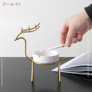 300~OFFN[| DM Vv  rO ACA fUC u 蕨 ؍ CeA C[A[g  ItBX  蕨  fXN  H|i  k u z[