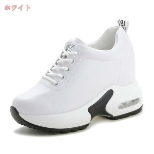 Xb| fB[X CXg[ Ȃ l ꂢ JWA t  H o Xj[J[ Cq[   20 30 40 y rW[ V[NbgV[Y 