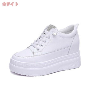 777~OFFN[| Xj[J[ fB[X  Cq[Xj[J[  fB[X V[Y y EH[LOV[Y ʋ ʊw r ɂ gAbv 7cmq[  