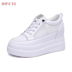 777~OFFN[| Xj[J[ fB[X  Cq[Xj[J[  fB[X V[Y y EH[LOV[Y ʋ ʊw r ɂ gAbv 7cmq[  