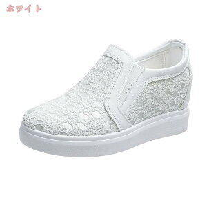 500~OFFN[| Xb| Xj[J[ fB[X _X Cq[ [Jbg r 킢   ₷ C JWA V[Y 傫TCY y RȂ ʋ ʊw 