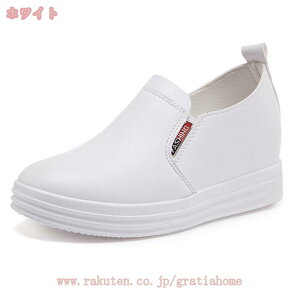 500~OFFN[| Xb| Xj[J[ fB[X _X Cq[ [Jbg r 킢   ₷ C JWA V[Y 傫TCY y RȂ ʋ ʊw 