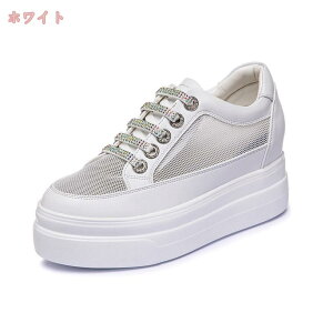 760~OFFN[| ₷ Xb| fB[X [t@[ r C Xj[J[ [Jbg EhgD JWA Xb| Xj[J[   ʊw s y ʋC 