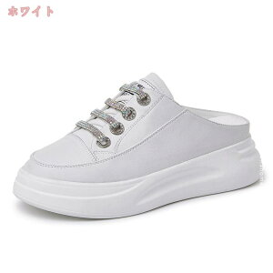 1000~OFFN[| bV Xb| fB[X  RȂ Xj[J[ ƂȂ ~[ nCq[ 6cm EH[LOV[Y Xb| Xj[J[ y  vbgtH[