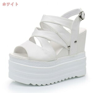 500~OFFN[| nCq[ OfBG[^[T_ fB[X NXXgbv ėpr[T  12cm EFbWq[ obNWbv  킢 JWA l ₷ E