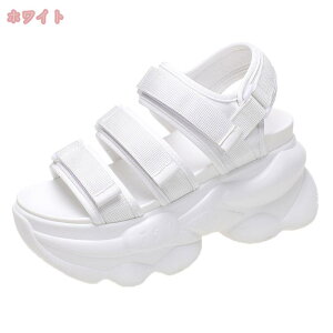 777~OFFN[| X|[cT_  fB[X  T_ RtH[gT_ Xj[J[ y r[`T_ ubN C xN r[T X|[c ₷ AEghA L