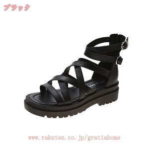 1000~OFFN[| OfBG[^[T_ nCJbg fB[X T_ EFbW I[vgD Wbp[r[T tbg dXgbv gOT_ ʋ r vbgt