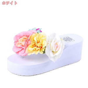 500~OFFN[| r[`T_ Xb| fB[X  t@bV EFbWq[ 6cm T_  T_ C ꂢ r ԏ r r[T   C  