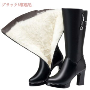 2000~OFFN[| O [gu[c fB[X N Xm[u[c EB^[u[c ~pu[c C 킢 h ~ ₷ TChWbp[ ʋΒʊw JWA 