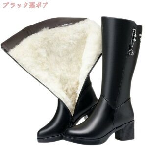 2000~OFFN[| O [gu[c fB[X N Xm[u[c EB^[u[c ~pu[c C 킢 h ~ ₷ TChWbp[ ʋΒʊw JWA 