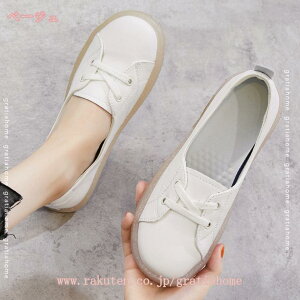 1000~OFFN[| tbgV[Y fB[X Xb| dp d C pvX Ȃ [q[ ɂȂ ؂ ₷  _炩 傫TCY tbg  