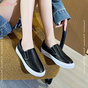 760~OFFN[| V[Y fB[XXb| L JWAV[Y I[V[Y EH[LOC Xb| R r ItBX E₷ ʊw ƌC  PUv 25.0cm  