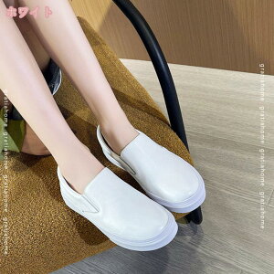 1000~OFFN[| V[Y fB[XXb| L JWAV[Y I[V[Y EH[LOC Xb| R r ItBX E₷ ʊw ƌC  PUv 25.0cm  