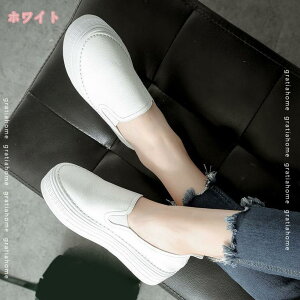 Xj[J[ fB[X   RȂRtH[gV[Y 4cm Xj[J[ p Xb| Vv n ₷ [Jbg  ʊw s X|[cXb| [q[ 