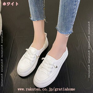 300~OFFN[| fB[X Xb| Vv y^RC pvX tbgV[Y _炩 JWA 傫TCY RtH[gV[Y   }}V[Y EH[LOV[