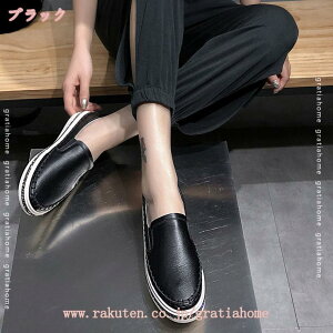  Xb| Xj[J[ fB[X [Jbg Ob^[ CXg[ V[Y V[Y JWA ₷ fB[XC r h o f[g Ȃ 