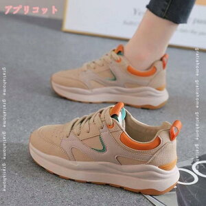 300~OFFN[|  Xj[J[ fB[X r Ȃ _bhXj[J[ i[XV[Y [XAbv [Jbg wȂ gAbv w ʊw ʋ  5Z`  C