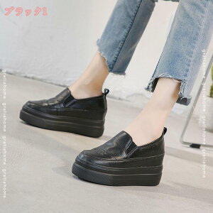  Xb| fB[X [t@[ v zCg EhgD TCY q[5cm JWA  ʊw C [Jbg y ʋC S\[ Cq[ gAbv y ʋC