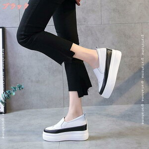  Xb| fB[X [t@[ v zCg EhgD TCY q[5cm JWA  ʊw C [Jbg y ʋC S\[ Cq[ gAbv y ʋC