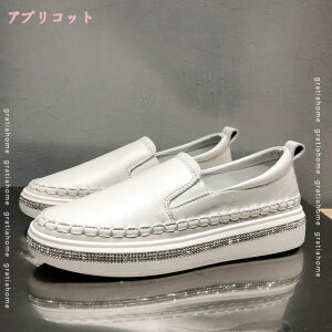 777~OFFN[| Xj[J[ fB[X v Cq[ [XAbv ʋC LL CXg[ Xb| EhgD JWA TChSA ₷ Ȃ C 